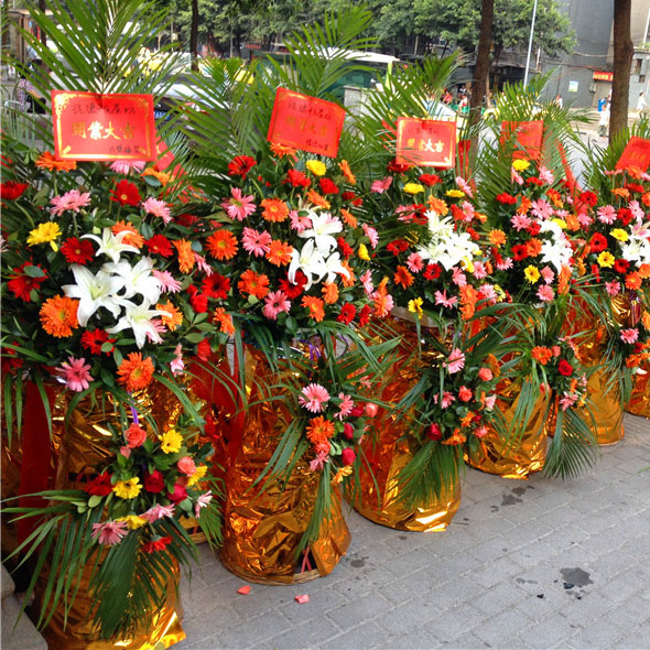 开业花篮D款(单个)